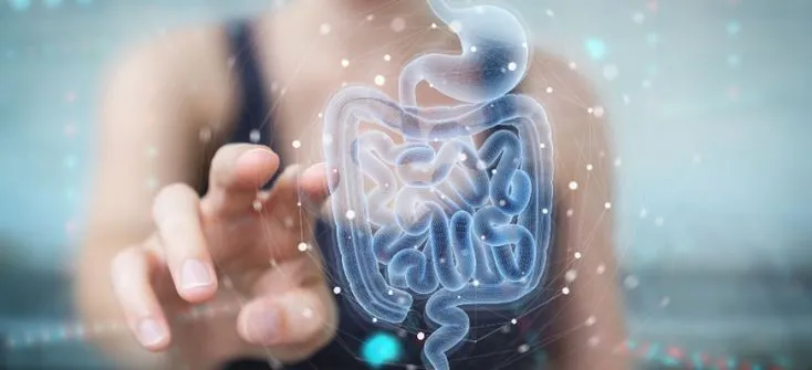 Gut microbiome background